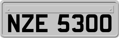 NZE5300