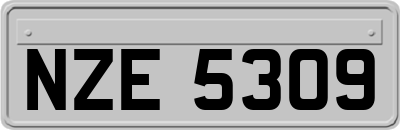 NZE5309