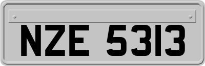 NZE5313