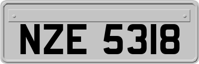 NZE5318