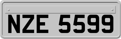 NZE5599