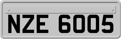 NZE6005