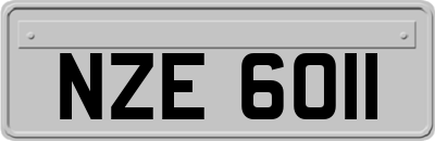 NZE6011
