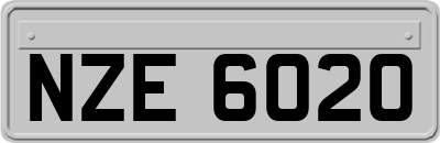 NZE6020