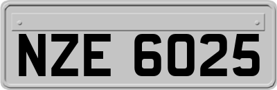NZE6025