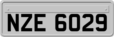 NZE6029