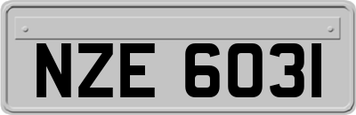 NZE6031