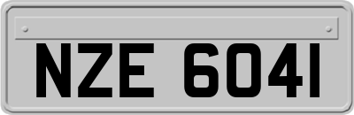 NZE6041