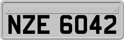 NZE6042