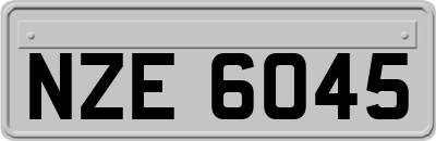 NZE6045