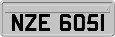 NZE6051
