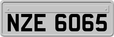 NZE6065