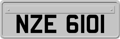 NZE6101