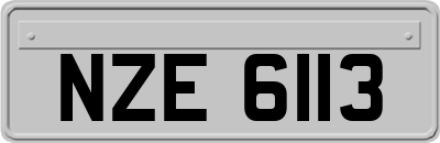 NZE6113
