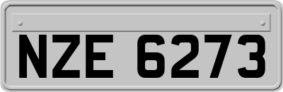 NZE6273