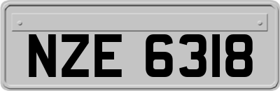 NZE6318