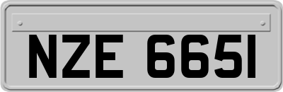 NZE6651