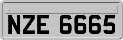 NZE6665