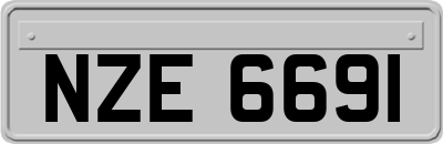 NZE6691