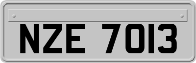 NZE7013
