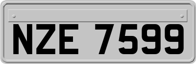 NZE7599