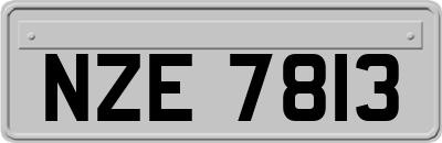 NZE7813