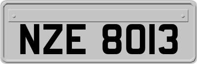 NZE8013