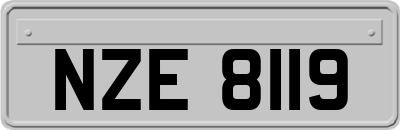 NZE8119