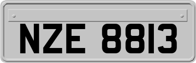 NZE8813