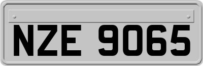 NZE9065