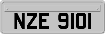 NZE9101