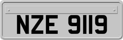 NZE9119