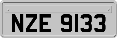 NZE9133