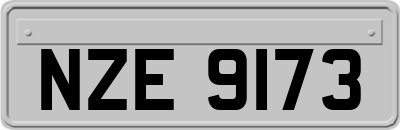 NZE9173