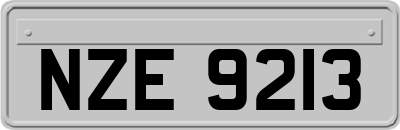 NZE9213