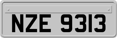 NZE9313