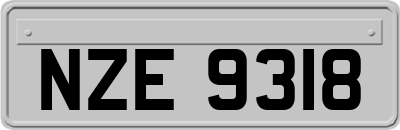 NZE9318