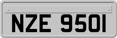 NZE9501