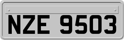 NZE9503