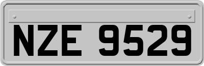 NZE9529
