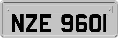 NZE9601