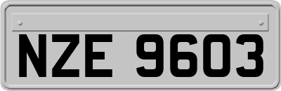 NZE9603
