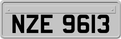 NZE9613
