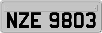 NZE9803