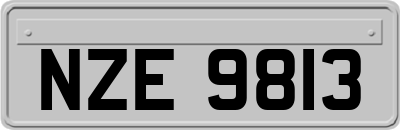 NZE9813
