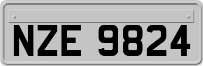 NZE9824