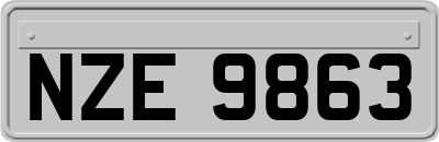 NZE9863