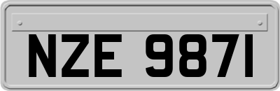 NZE9871