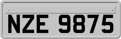 NZE9875