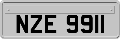 NZE9911